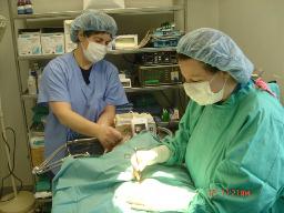 Surgical Services: